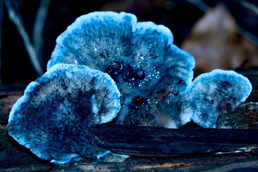 Crystal Rock Photo